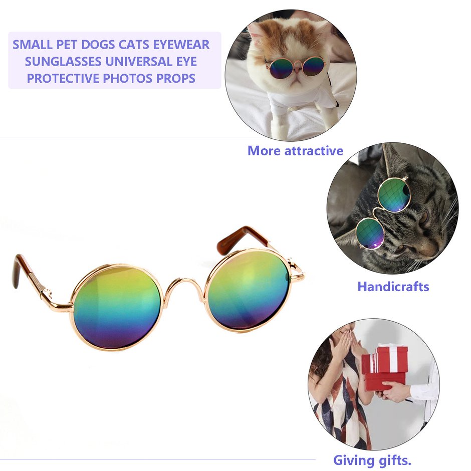 Những con chó thú cưng nhỏ mèo Mèo kính mắt kính mắt
