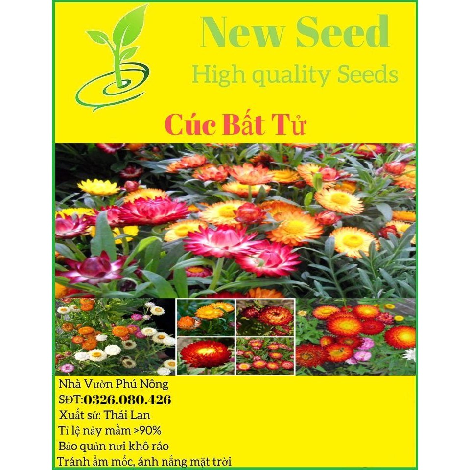 Hạt giống hoa cúc bất tử F1 Loại mix nhiều màu dễ trồng dễ chăm sóc hoa nở đẹp [ Gói 50gram,100gram,200gram]