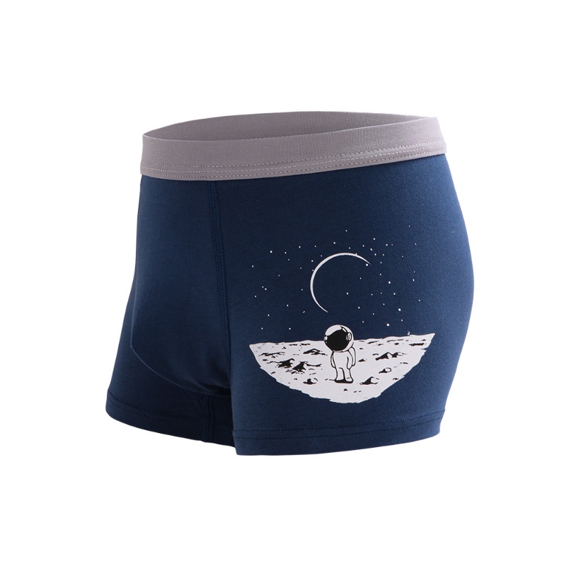 Quần Lót Boxer Cotton Kháng Khuẩn Họa Tiết Hoạt Hình Dễ Thương Cho Bé Trai