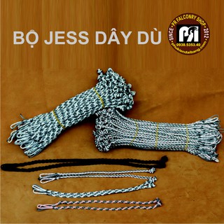Bộ dây chân, Jess đang dây dù