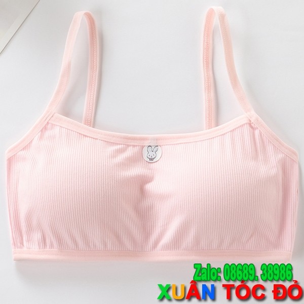 SỈ ZALO RẺ HƠN NHIỀU_ Áo Bra Tăm Thỏ Siêu Đẹp Mới B006 | BigBuy360 - bigbuy360.vn