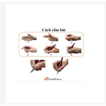 Set 10 con cá luyện cho trẻ cầm bút đúng cách, viết chữ đẹp