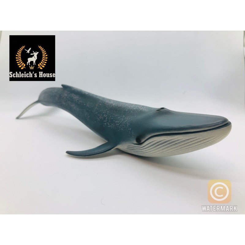 {HOT}Mô hình động vật Schleich Cá voi xanh 14806 - Schleich House- MOHINH800