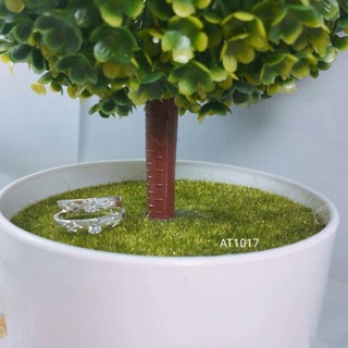 Nhẫn đôi bạc ta 925