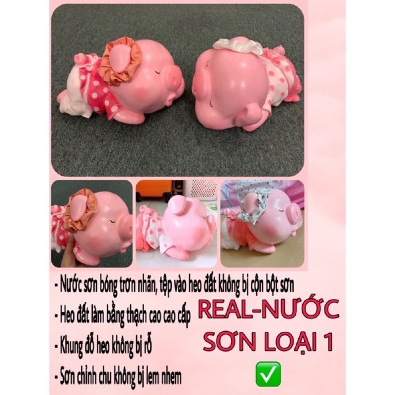 HEO ĐẤT NA TRA / HEO ĐẤT HẢO HẢO