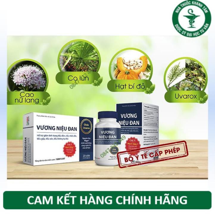 Vương Niệu Đan, giúp cải thiện tình trạng tiểu đêm, tiểu nhiều lần