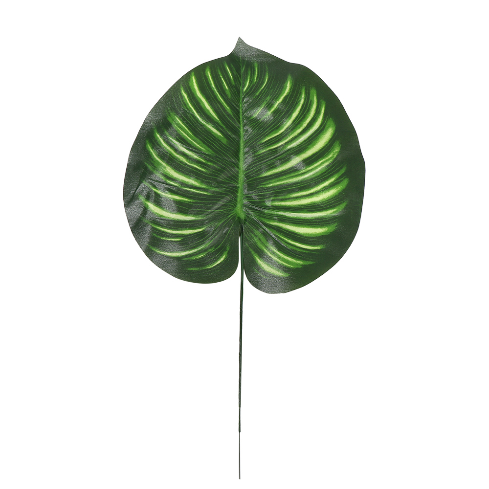 2 Lá Cọ Giả Trang Trí Nhà Cửa