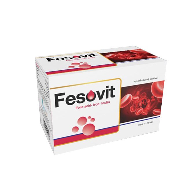 Fesovit – Hỗ trợ bổ sung sắt, ngăn ngừa thiếu máu cho bà bầu và người thiếu máu (60 viên)
