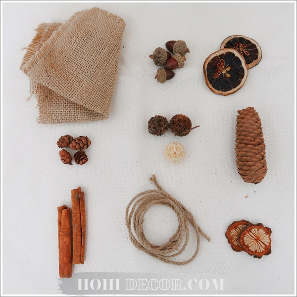 Set Hạt Khô Đủ Loại Chụp Ảnh Vintage - Shop Hohi Decor