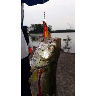 CÁ GIẢ CÂU CÁ TARGET FULL LƯỠI BKK