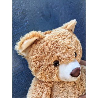 Gấu Teddy OSSSO - Hàng nhập Thái Lan