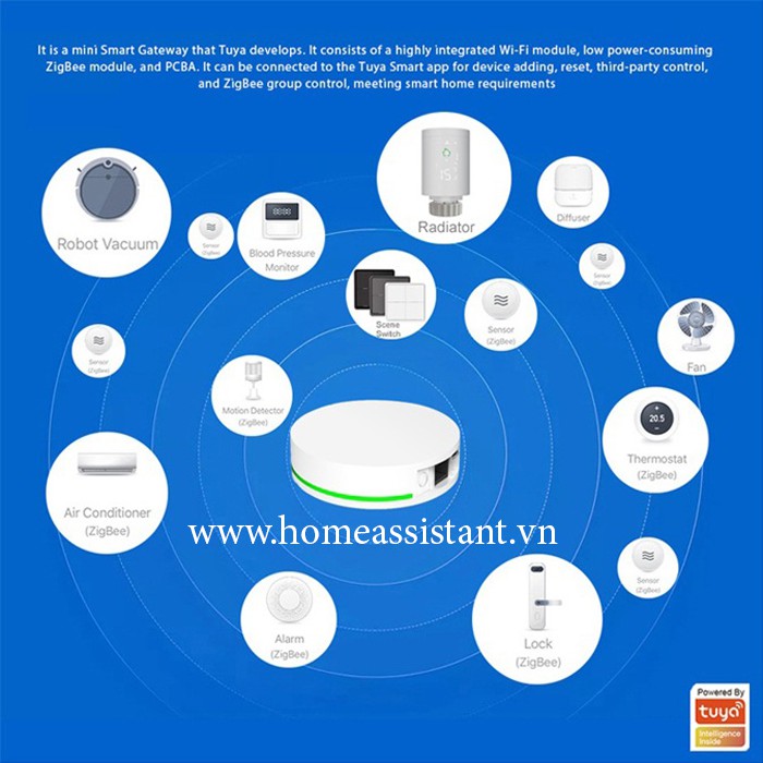 Trung Tâm HUB Zigbee Tuya Apple HomeKit Ethernet LAN ZHG01  Hass Smart Life