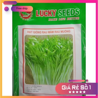 HẠT GIỐNG RAU MẦM RAU MUỐNG 50 GRAM LUCKY.VN