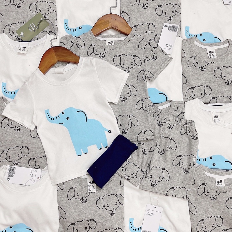 Set 2 bộ cotton bé HM bé trai