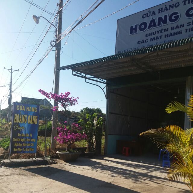 Nấm Linh Chi-Hoang Oanh Store