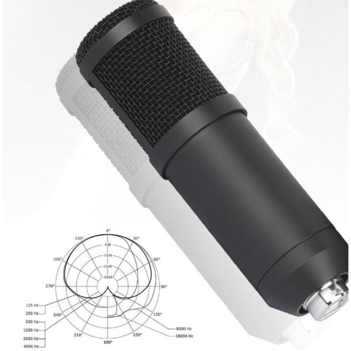 Micro Hát Karaoke Bm-800 Màu Đen Có Đầu Cắm Usb