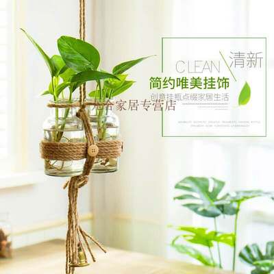 Thủy Canh container cây thì là màu xanh lá cây trồng hoa chai thủy tinh treo tường bình hoa cô gái phòng trang trí tường