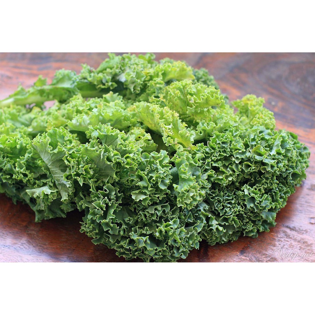 An's home - Hạt giống cây cải Curly Kale hữu cơ Vilmorin(Đức)