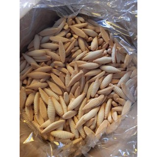 BÁNH ĐUÔNG SÂU KÝ ỨC TUỔI THƠ