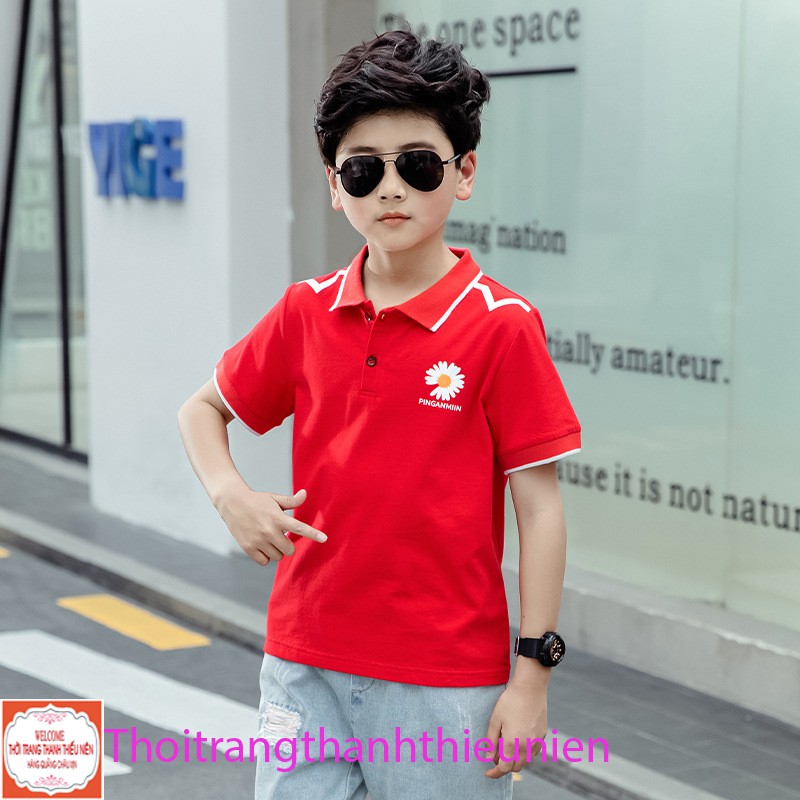 [35Kg - 75Kg] Áo Polo Nam Cotton Xanh Đỏ Hàng Quảng Châu Cao Cấp. | BigBuy360 - bigbuy360.vn