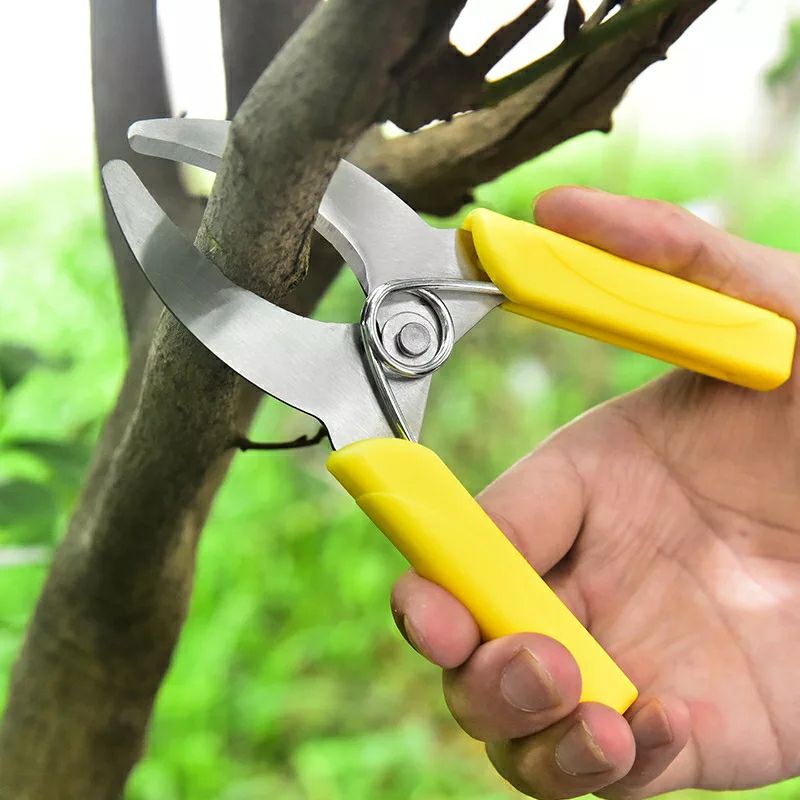 Kéo chiết cành cây, cắt vỏ cây, bóc bỏ cây 5.5mm bằng thép không gỉ