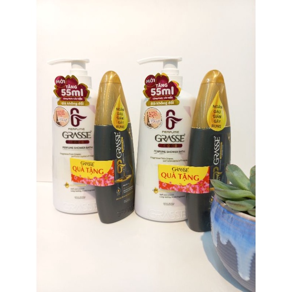 Sữa tắm hương nước hoa Grasee 620ml+Dầu gội hương nước hoa Grasse 215ml