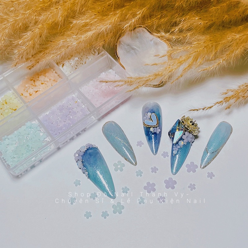 Hoa Nhí Trang trí, Sét Hoa Nhí Nhựa Mix Hộp 6 Màu Kèm Bi, Phụ Kiện Nail [Thanh Vy Nail]