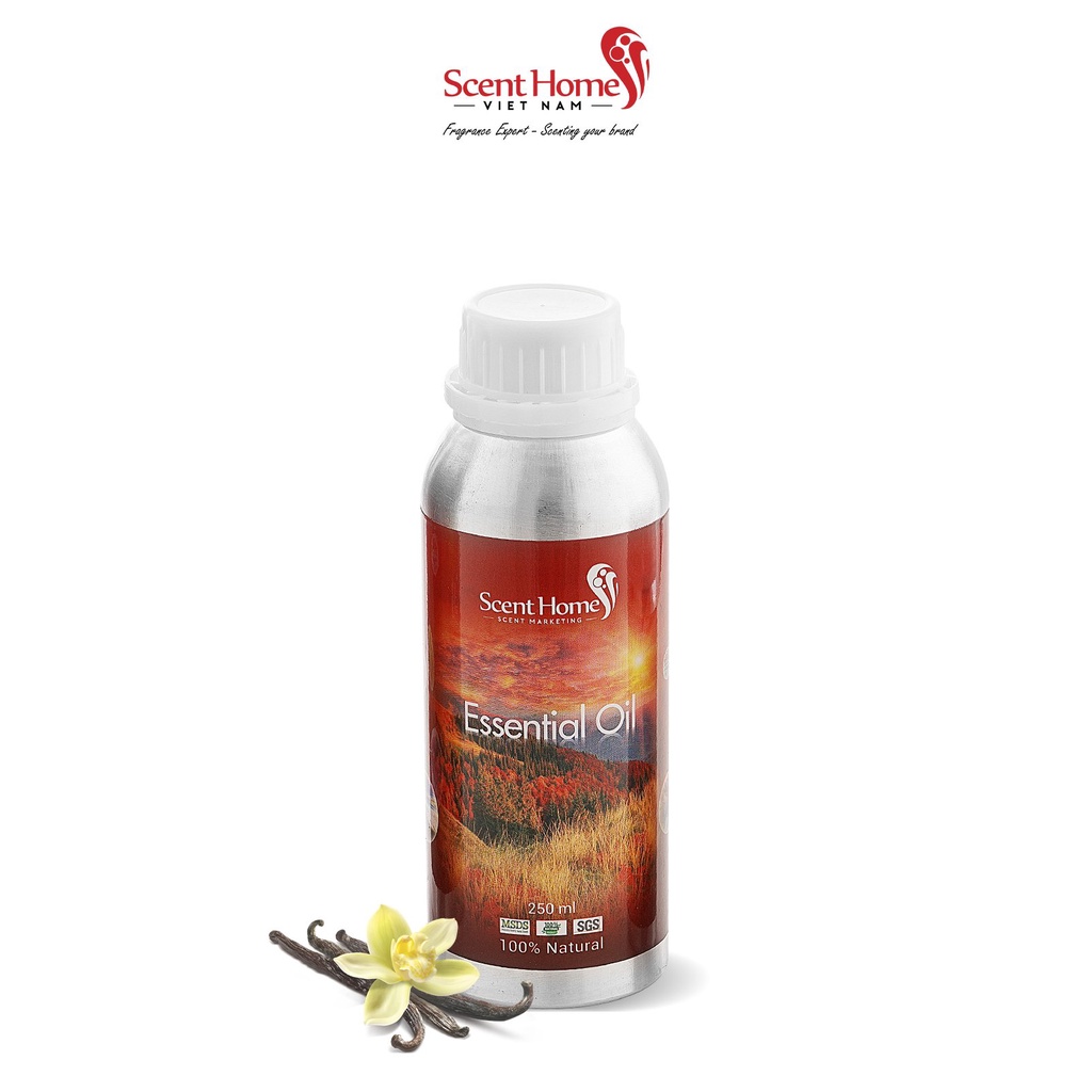 [Chính hãng] Tinh dầu Vanilla ScentHomes (Vanilla - 50ml,100ml,250ml)