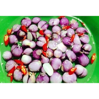 [Loại 1-2kg] Hành tím Lý Sơn-Quảng Ngãi