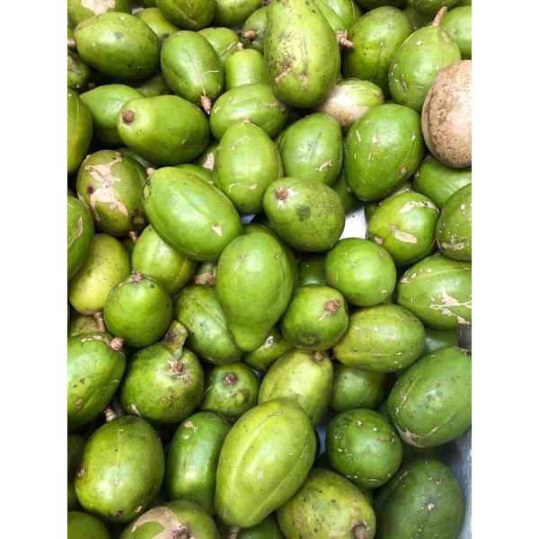 Cóc Bến Tre