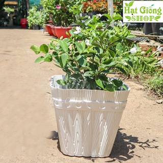 Chậu Nhựa vuông giả gỗ