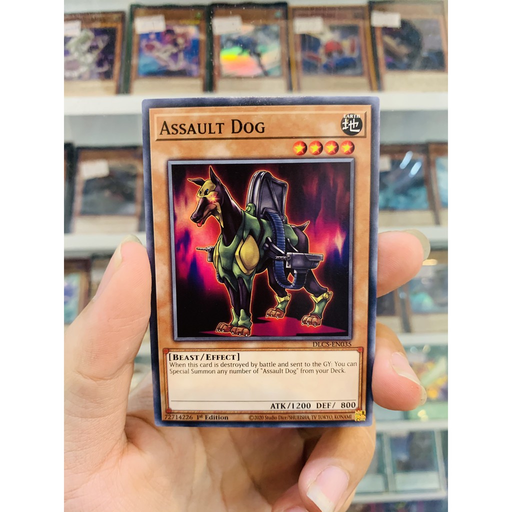 Thẻ Bài Lẻ YugiOh! Mã DLCS-EN035 - Assault Dog - Common - 1st Edition