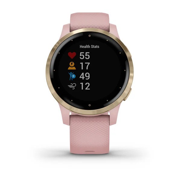 Đồng hồ thông minh Garmin Vivoactive 4S - Hàng chính hãng FPT