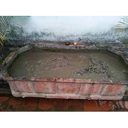 Đất bùn trồng sen cảnh