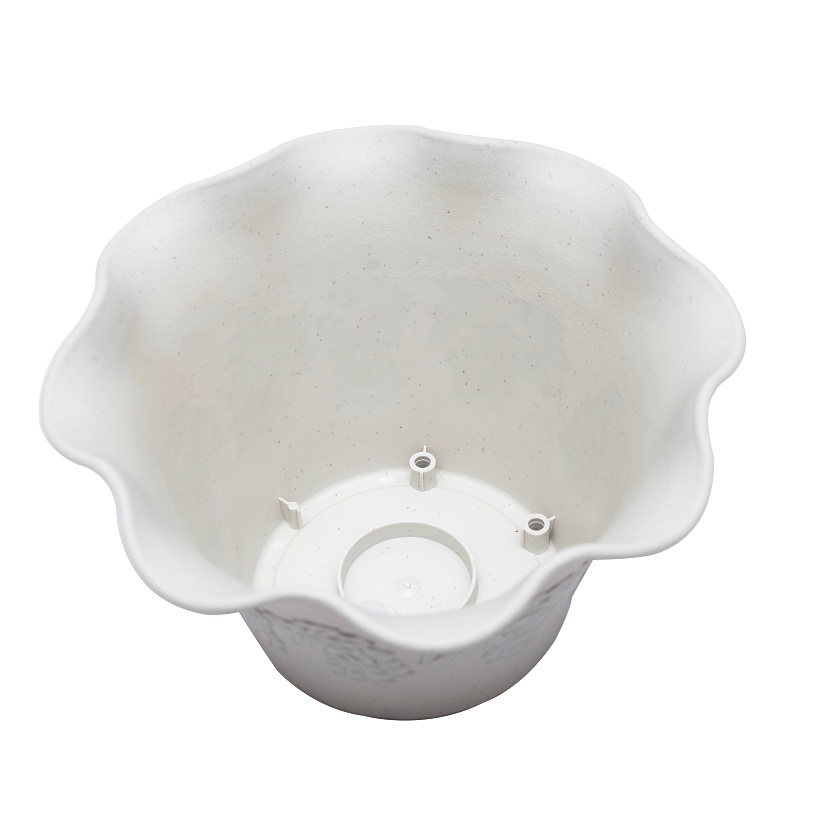 [Hỏa Tốc HN] Chậu hoa viola trắng 26cm Nội địa Nhật Bản