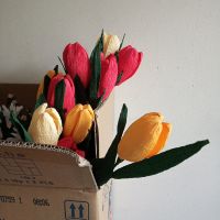 Hoa tulip giấy nhún