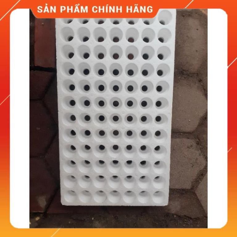 Bộ 10 khay xốp ươm hạt 84 lỗ.