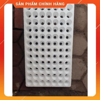 Bộ 10 khay xốp ươm hạt 84 lỗ.
