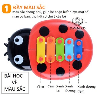 Đàn gõ hình bọ rùa siêu dễ thương