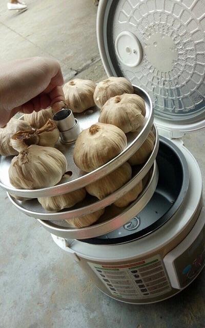 Nồi làm tỏi đen | BigBuy360 - bigbuy360.vn