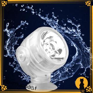Đèn led trang trí bể cá chống thấm nước
