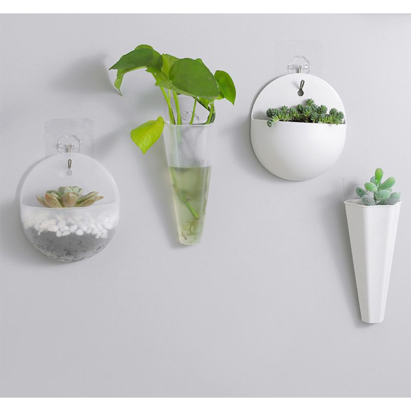 Chậu nhựa trồng cây treo tường trong nhà (4 mẫu),,,,,,