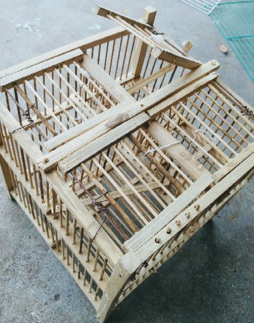 Lồng bẫy chim 4 cửa