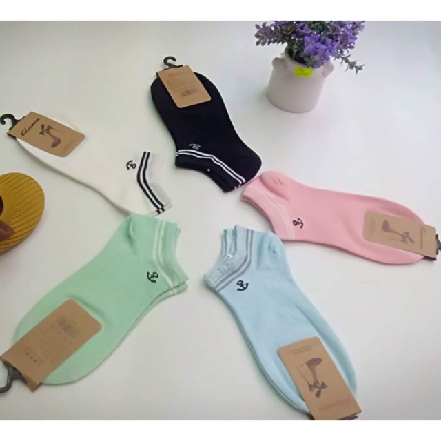 Tất cổ viền các màu