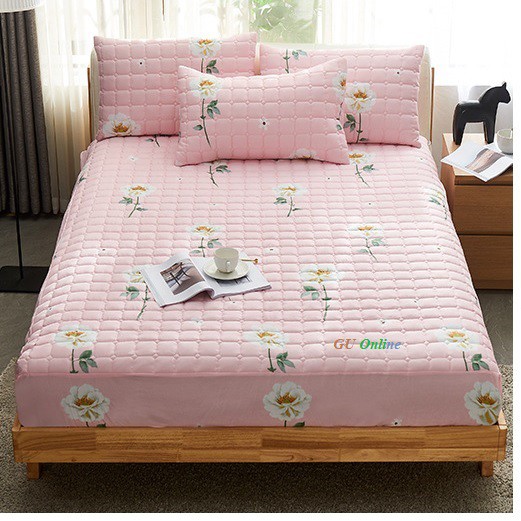Ga trải giường chun trần bông cotton + lớp đệm simmon, kháng khuẩn