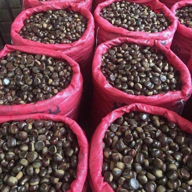 1kg HẠT DẺ TO NGON ĐẢM BẢO HÀNH CHẤT LƯỢNG. Hạt Dẻ Tươi chế biến thơm ngon