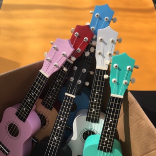 Bộ đàn ukulele soprano màu trơn size 21 (gồm đàn, bao da, capo, dây dự phòng, pick gảy và voucher giảm giá)
