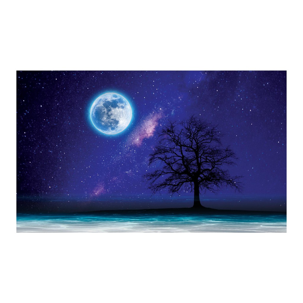 TRANH MẶT TRĂNG DÁN HỒ CÁ NHIỀU KÍCH THƯỚC_THIẾT KẾ NÀNG THƠ