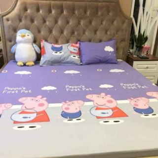 Vỏ gối chống thấm