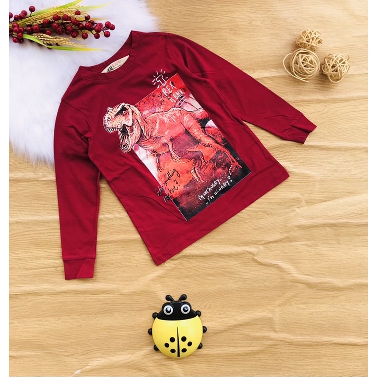 🚗 Áo dài tay hàng xuất H&M bé trai từ 20-60kg